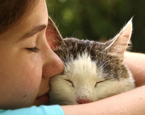 猫との信頼度を高めるにはどうしたらいいの Uchinoco うちの子