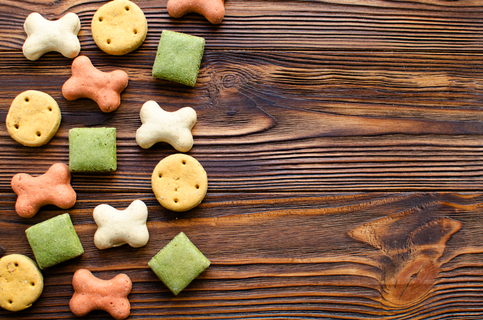 子犬はいつから?おやつを食べて良いの?