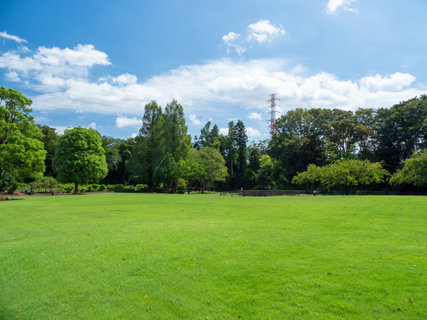 埼玉でおすすめのスポットをご紹介!犬連れお出かけ情報
