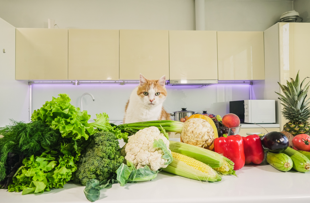 猫が食べて良いもの 悪いもの 野菜編 Uchinoco うちの子