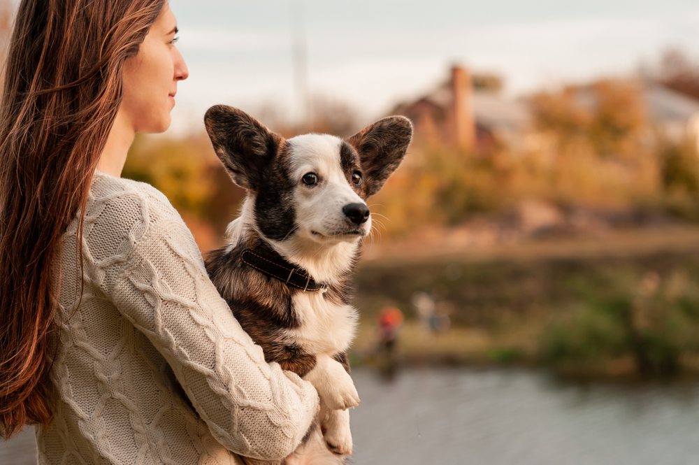 実は知らない 犬の正しい抱っこの仕方を覚えよう Uchinoco うちの子