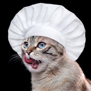 猫に手作りご飯を与えたい！おすすめの食材をご紹介