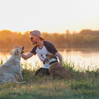 愛犬と一緒に山中湖へ！犬連れで楽しめるおすすめスポットを紹介