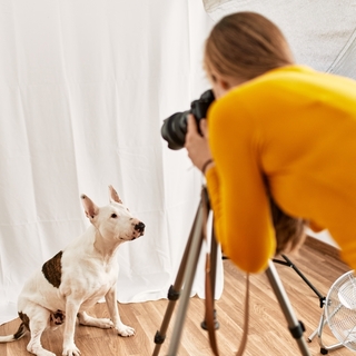 うちの子のかわいさを最大限に！愛犬が“映える”写真の撮り方ガイド
