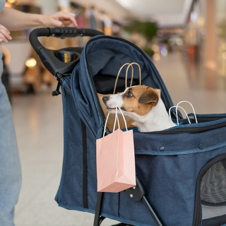 犬とショッピングモールは一緒に行ける？同伴OK施設の探し方と注意点