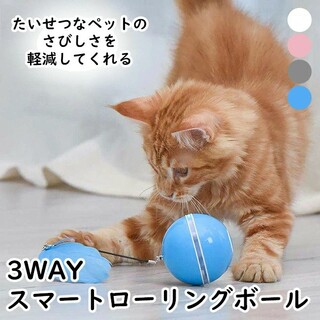 【楽天市場】Shopping is Entertainment! ： インターネット最大級の通信販売、通販オンラインショッピングコミュニティ