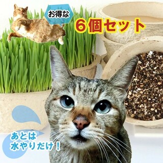 【楽天市場】Shopping is Entertainment! ： インターネット最大級の通信販売、通販オンラインショッピングコミュニティ