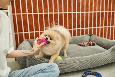 画像素材、写真、ベクター画像、動画、音楽素材 | Shutterstock
