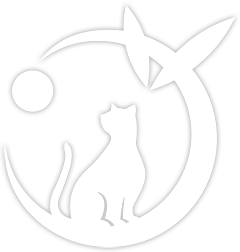 猫カフェ 猫猫（MAO MAO）一組限定個室猫カフェ