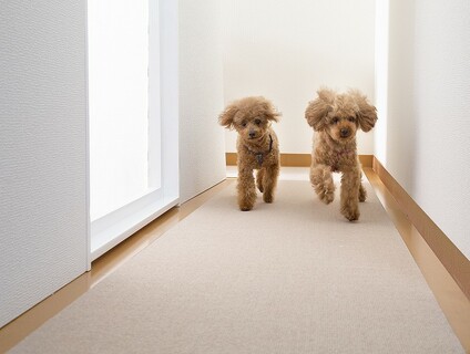 【楽天市場】Shopping is Entertainment! ： インターネット最大級の通信販売、通販オンラインショッピングコミュニティ