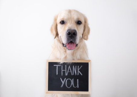 犬が感謝の言葉