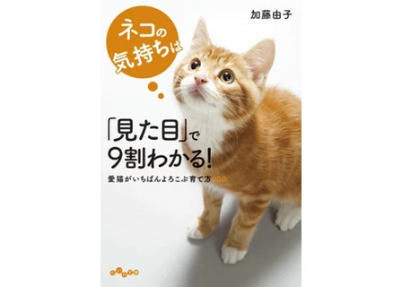 楽天ブックス: 本・DVD・CD・ゲームの通販　オンライン書店