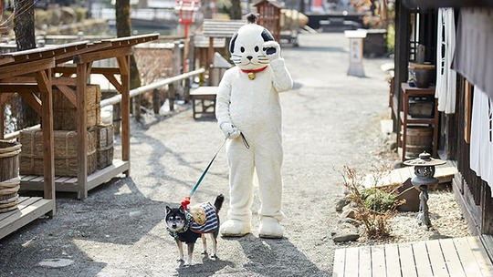 EDO WONDERLAND 日光江戸村